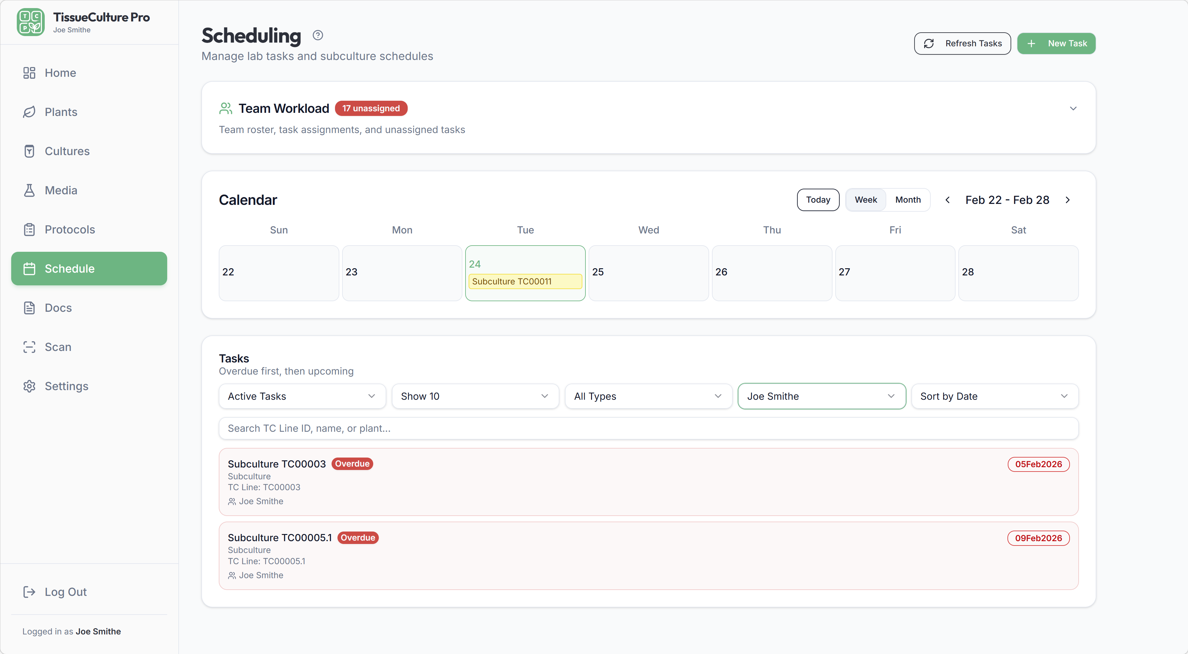 Task scheduling with calendar view
